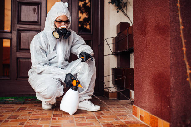 Reliable Cockroach Control contractor in Camp Pendleton South, CA by Nex Pest Control